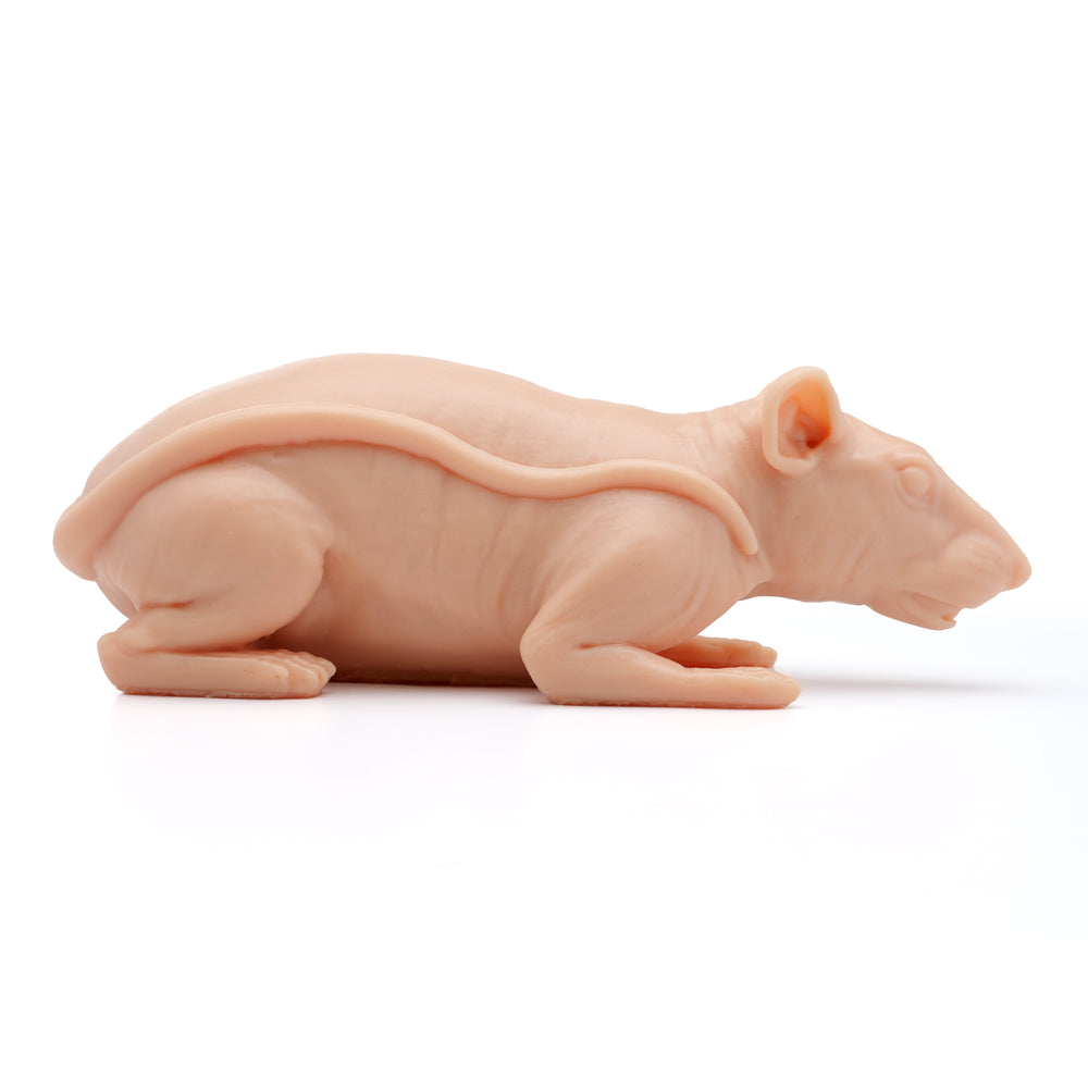 A pound of flesh naked rat eikon device tattoo supplies