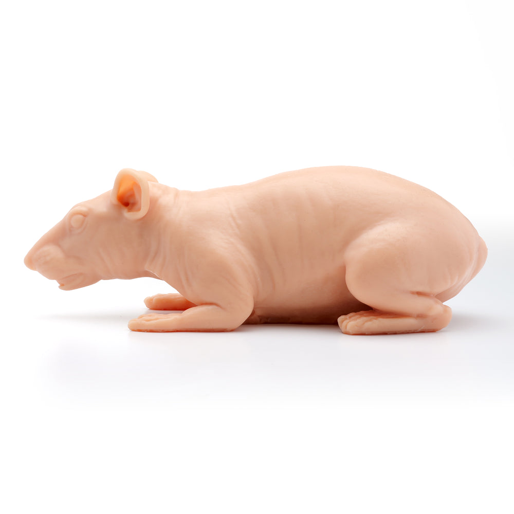 A pound of flesh naked rat eikon device tattoo supplies