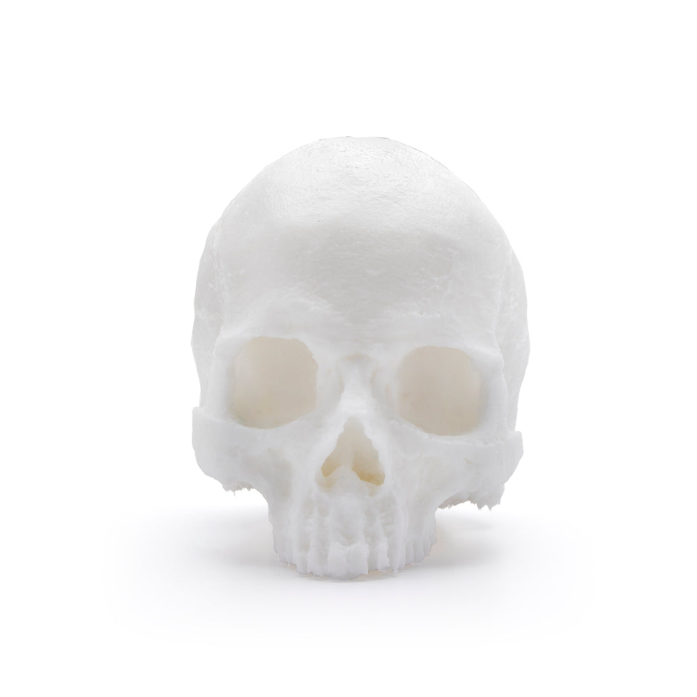 A Pound Of Flesh | Yorick Skull Tattoo Supplies