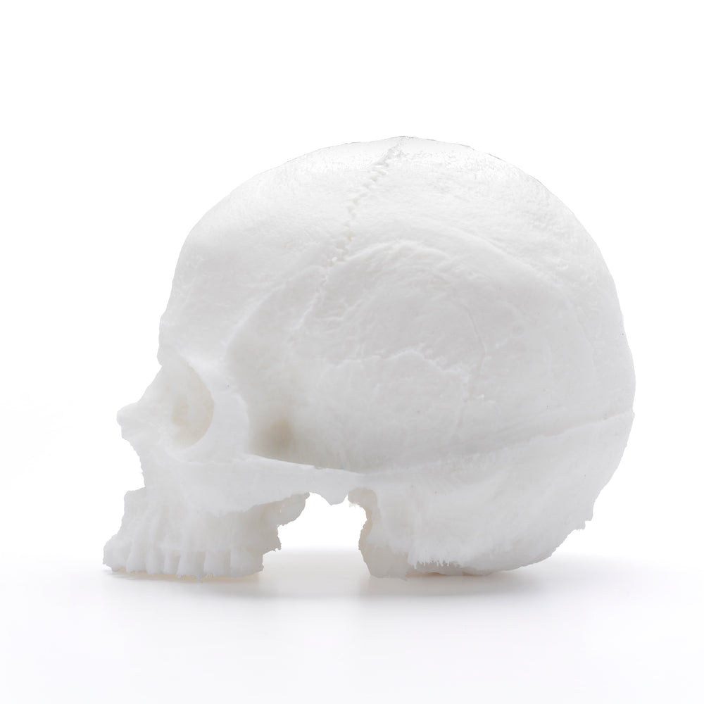 A Pound Of Flesh | Yorick Skull Tattoo Supplies