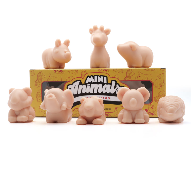 APOF - A Pound Of Flesh Mini Animal Zoo Box Tattoo Supplies