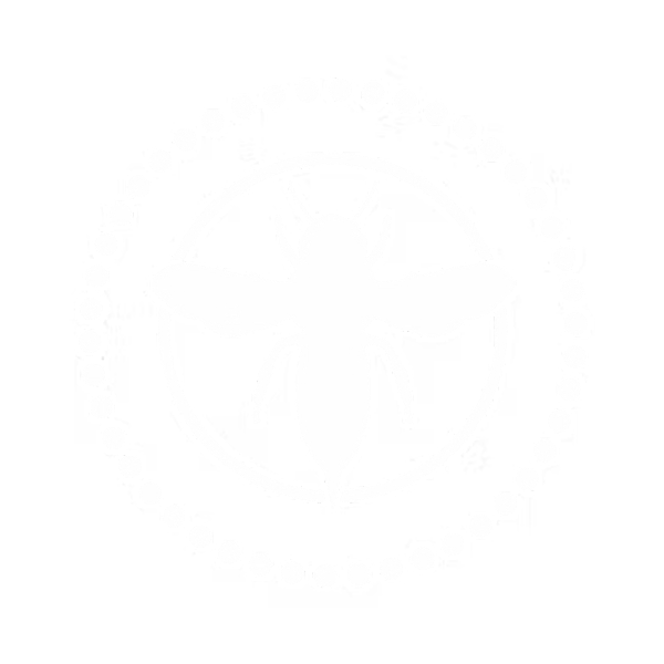 files/HORNET.png