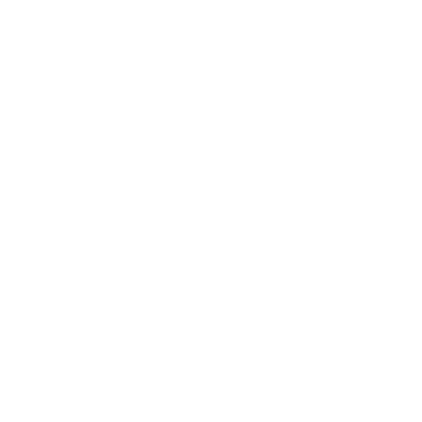 files/SPIRIT.png